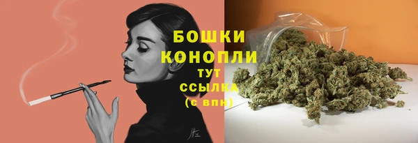 гидра Белокуриха