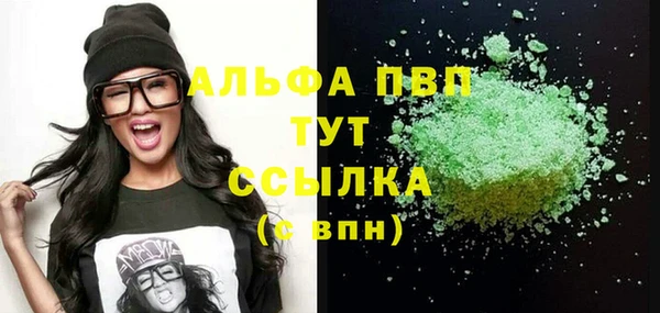 гидра Белокуриха
