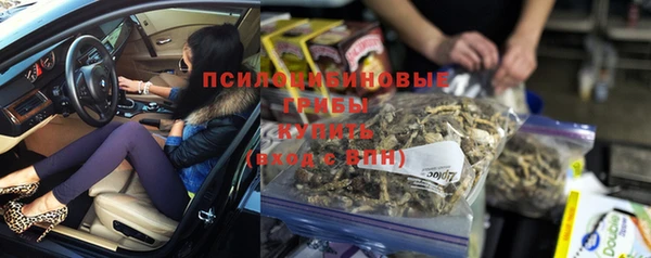 гидра Белокуриха