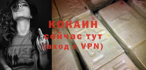 гидра Белокуриха